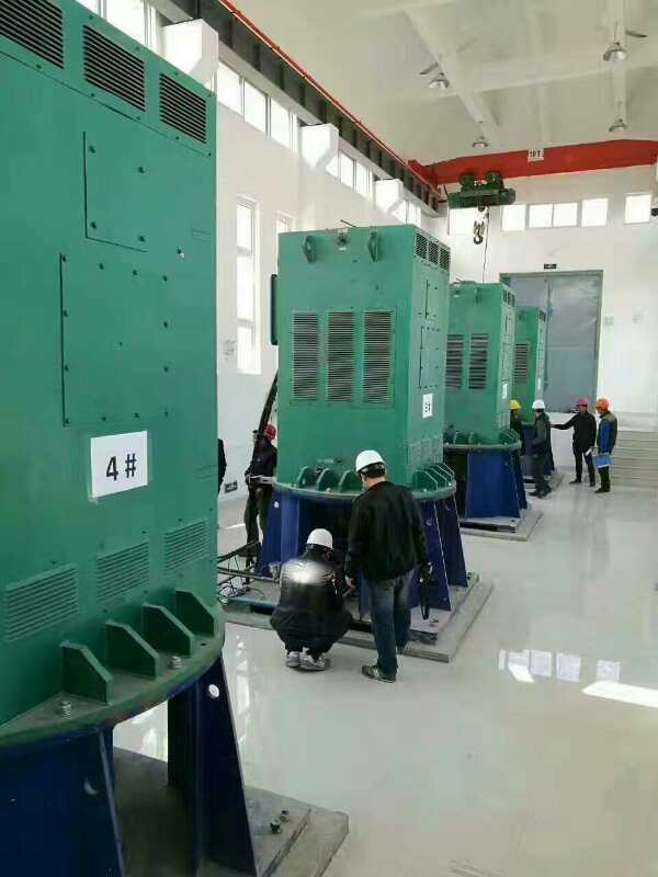 YKK6301-6某污水处理厂使用我厂的立式高压电机安装现场