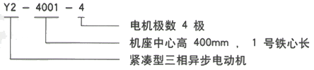 YR系列(H355-1000)高压YKK6301-6三相异步电机西安西玛电机型号说明